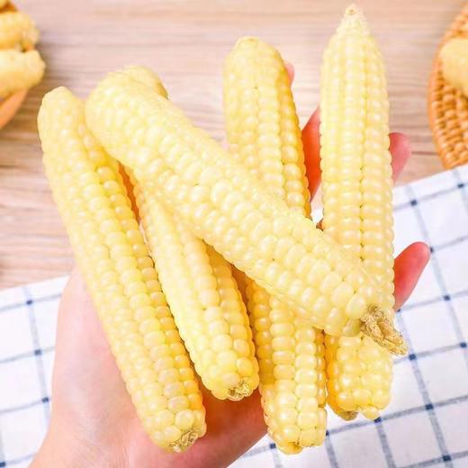 【AN】西双版纳 A级拇指玉米 商品图0