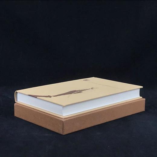 莫泊桑《第二十九床与其他故事》 16幅插图 精装18开带书匣 商品图1