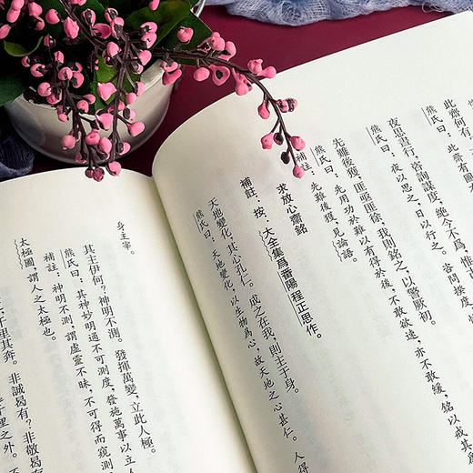 性理群书补注 性理群书句解 朱子学 精装 商品图10