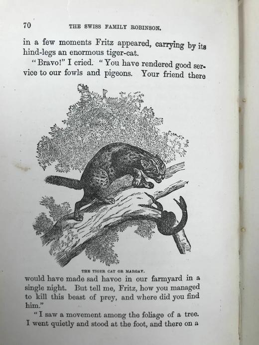 约19世纪后期 约翰·维斯《海角乐园》 约15幅插图 漆布精装32开 商品图8