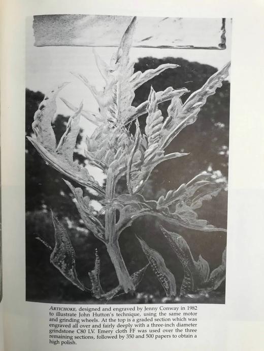 约翰·赫顿：艺术家与玻璃雕刻师 约百幅插图 精装大16开 商品图14