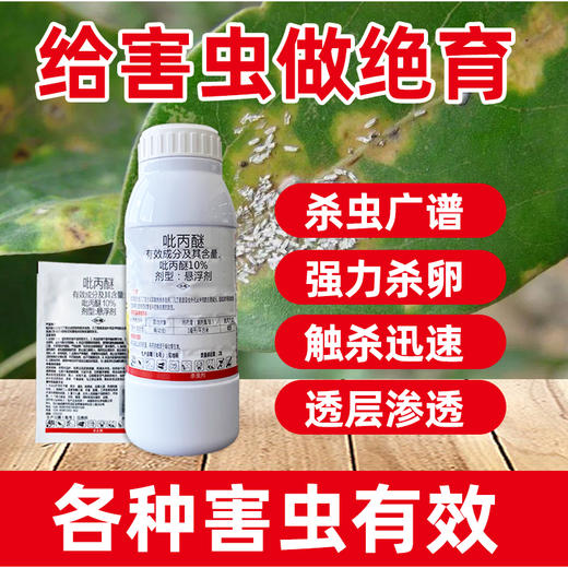 吡丙醚柑橘蔬菜果树蓟马蚧壳虫介壳虫白粉虱木虱杀虫卵农药杀虫剂 商品图1