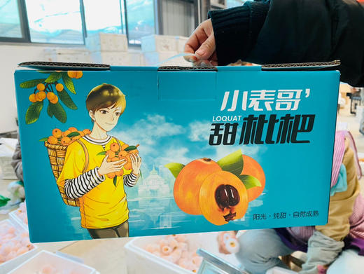 【AN】云南优选 大理宾川五星枇杷 果肉厚实香甜 商品图2