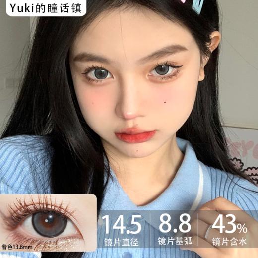 Sondercon日抛-T04阿宝灰 商品图0