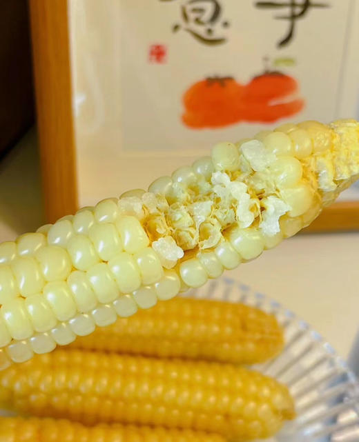 🌽糯叽叽｜西双版纳拇指玉米 商品图3