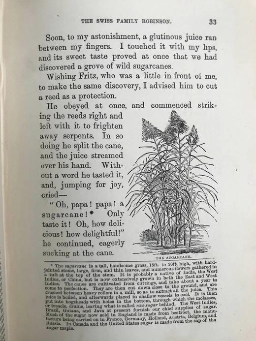 约19世纪后期 约翰·维斯《海角乐园》 约15幅插图 漆布精装32开 商品图13