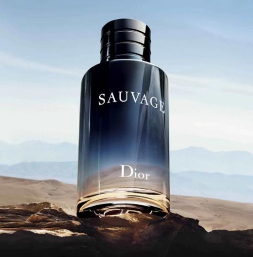  迪奥旷野男士香水淡香 60ml#100ml 商品图1