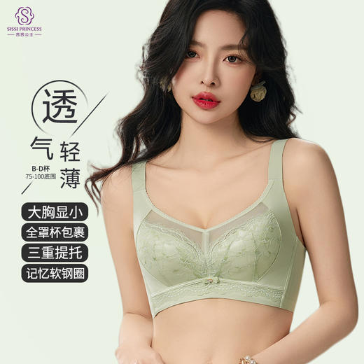 舒适百搭 双色蕾丝聚拢内衣 大胸显小 上托收副乳防下垂 性感舒适 商品图0