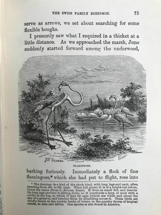 约19世纪后期 约翰·维斯《海角乐园》 约15幅插图 漆布精装32开 商品图7