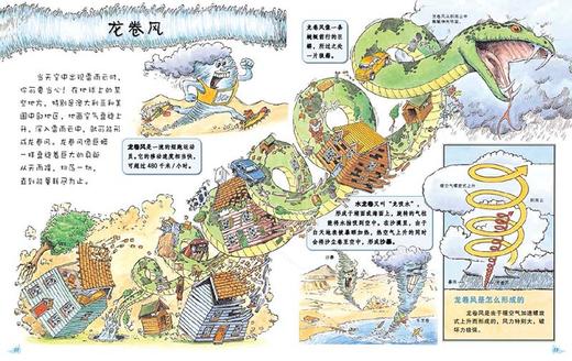 我的第一本万物科学书（全4册） 商品图8