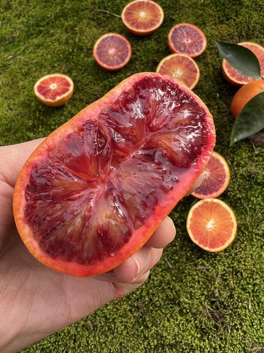 可食用的“红宝石”！李子妃【长寿湖血橙】九分甜一分酸！混合花香、果香、蜂蜜香！富含花青素~ 商品图7