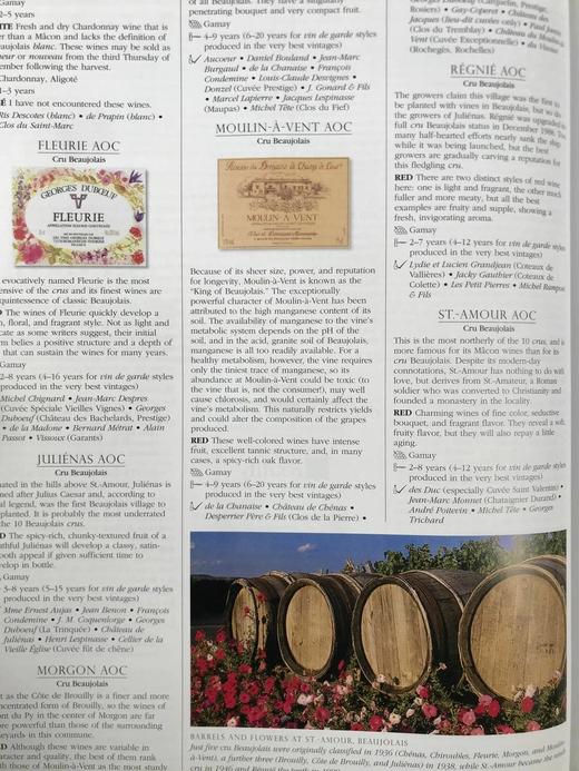 苏富比红酒百科全书 数百幅彩色插图 精装16开 商品图11