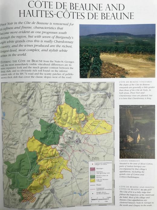 苏富比红酒百科全书 数百幅彩色插图 精装16开 商品图13