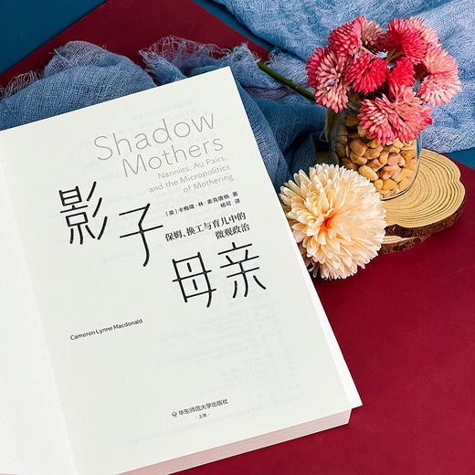 影子母亲 保姆 换工与育儿中的微观政治 薄荷实验 商品图5