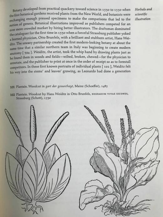 版画与人：版画社会史 752幅插图 精装16开 商品图13