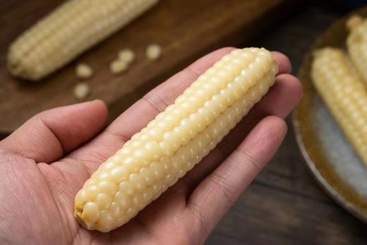 【AN】西双版纳 A级拇指玉米 商品图5