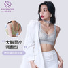 舒适百搭 双色蕾丝聚拢内衣 大胸显小 上托收副乳防下垂 性感舒适 商品缩略图3
