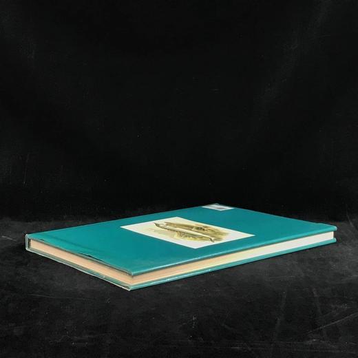 鱼类版画集 60幅精美彩色插图 精装8开 商品图2