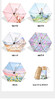【油画系列】恒鼎太阳伞 ，六折金胶伞 15色可选 商品缩略图11