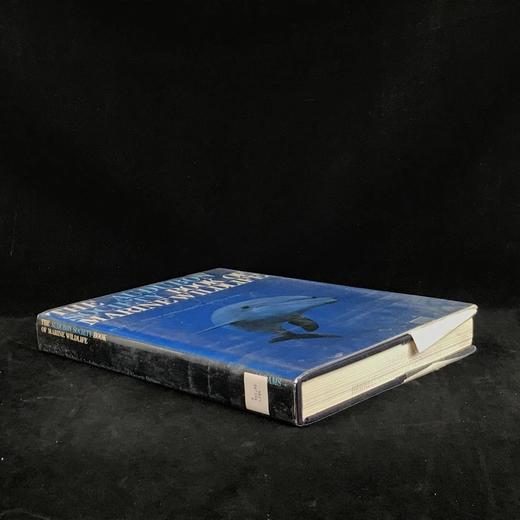 奥杜邦学会海洋野生动物图鉴 123幅彩色摄影图集 精装大16开 商品图1