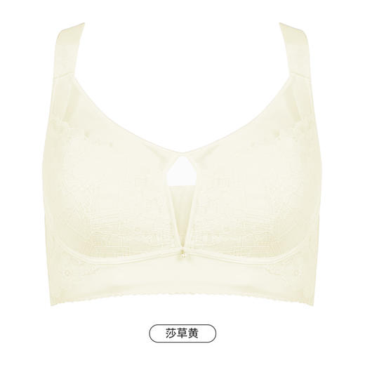 都市丽人舒软挺塑轻塑塑身内衣女蕾丝CD杯适穿3/4杯薄款调整型文胸无钢圈四排扣LJ42C2 商品图9