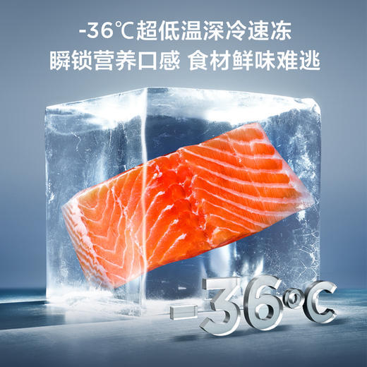 TCL 450升T5十字门超薄平嵌白色冰箱 58cm超薄可嵌入 宽幅变温 杀菌除味 R450T5-U（咨询客服送优惠大礼包） 商品图5