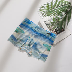 【艺术世界 第二肌肤】SCHIESSER高端铂雅冰丝速干第二肌肤平角小裤99/22949T