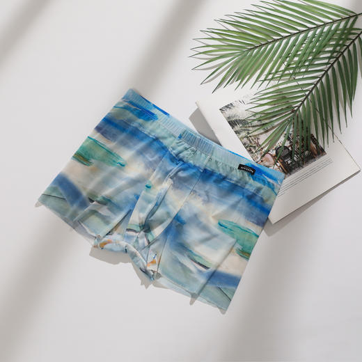 【艺术世界 第二肌肤】SCHIESSER高端铂雅冰丝速干第二肌肤平角小裤99/22949T 商品图0