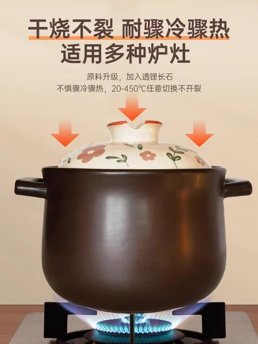 苏泊尔6L养生煲TB60A3 商品图0