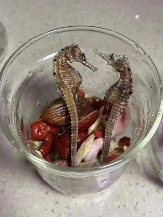 海马增高汤 具体看圈～ 商品图1