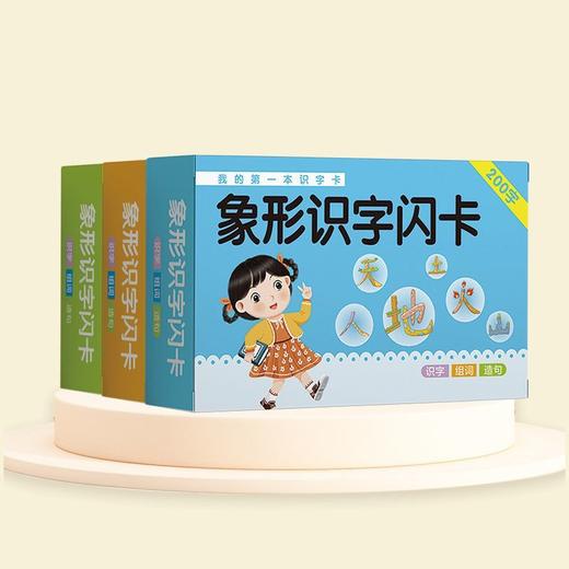 儿童识字闪卡幼小衔接卡牌幼儿启蒙早教3-5岁600识字卡 商品图6