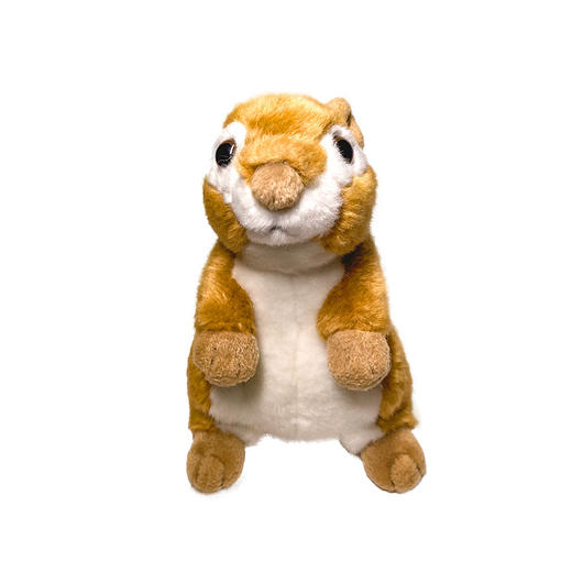 BehringWorld贝林商店毛绒花栗鼠儿童礼品可爱玩具生日礼物7英寸 商品图4