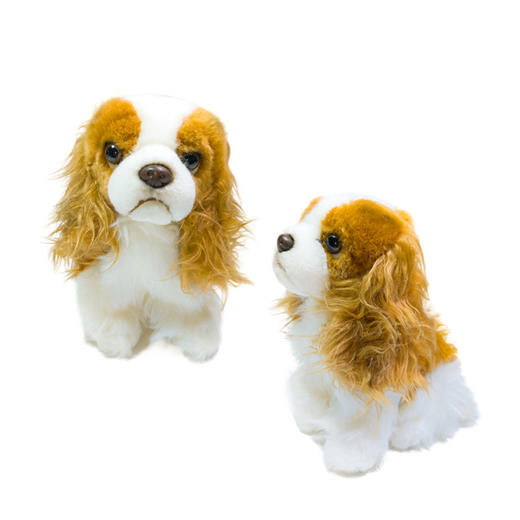 BehringWorld贝林商店毛绒20厘米查理士王小猎犬可爱玩具生日礼物 商品图4