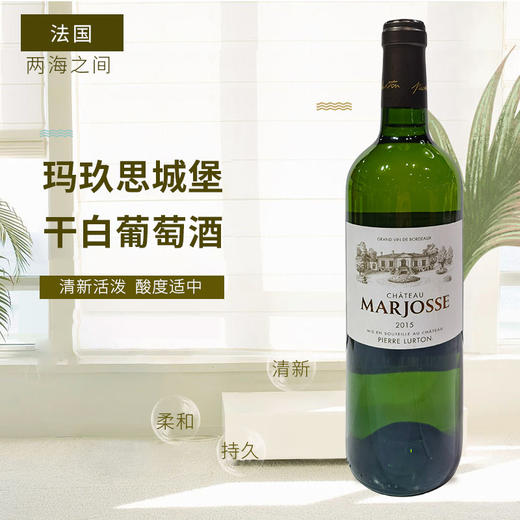 法国进口玛玖思城堡干白葡萄酒750ml 商品图1