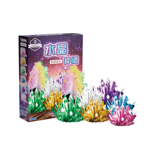 贝林自然世界水晶种植DIY动手玩具 商品图4