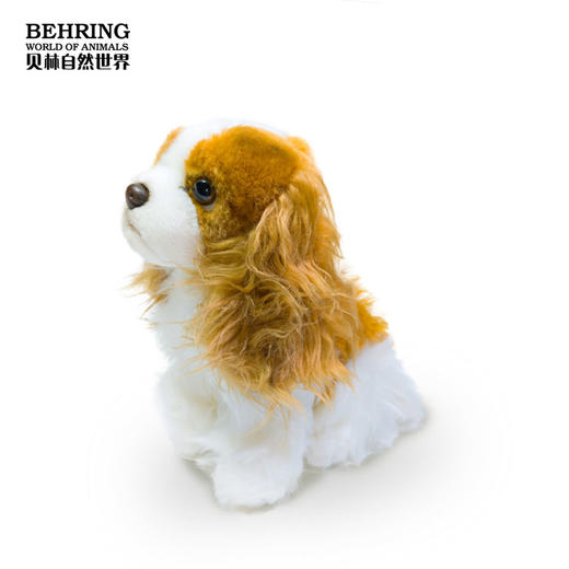 BehringWorld贝林商店毛绒20厘米查理士王小猎犬可爱玩具生日礼物 商品图2