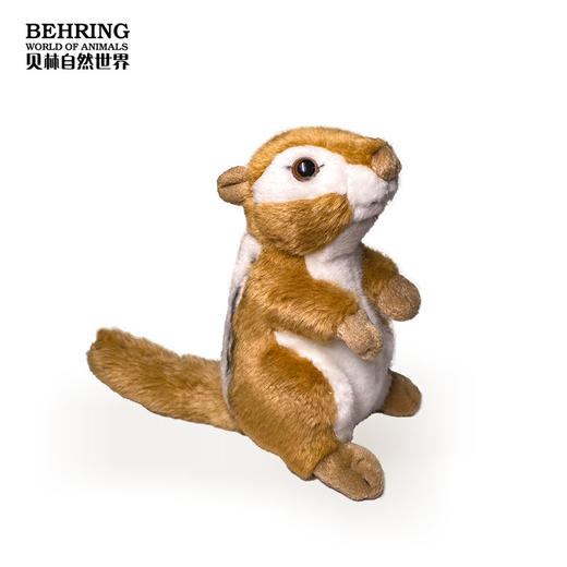 BehringWorld贝林商店毛绒花栗鼠儿童礼品可爱玩具生日礼物7英寸 商品图1