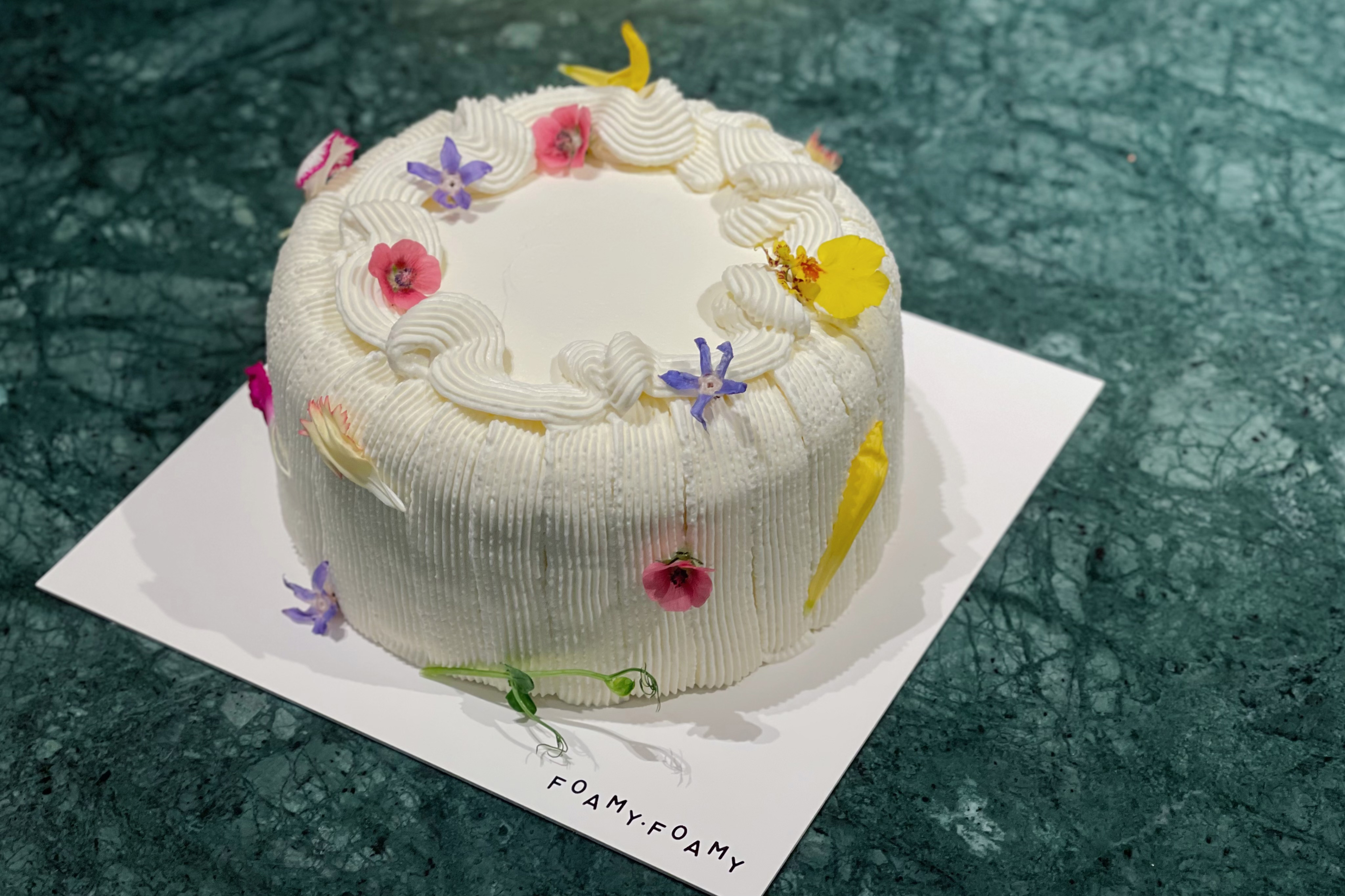 斑斓椰奶 1.0版/造型B款 (咸奶油)（加急预订）