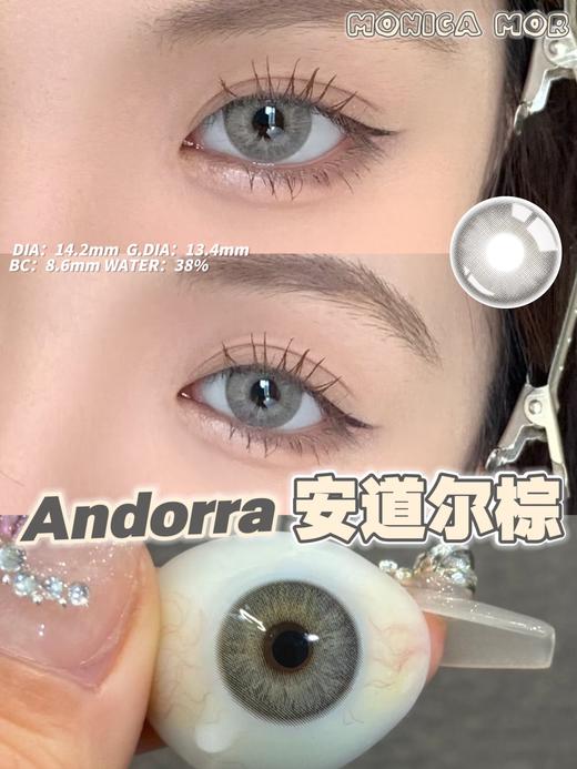 MONICA MOR 美瞳年抛 安道尔棕 直径14.2mm着色13.4mm 商品图5