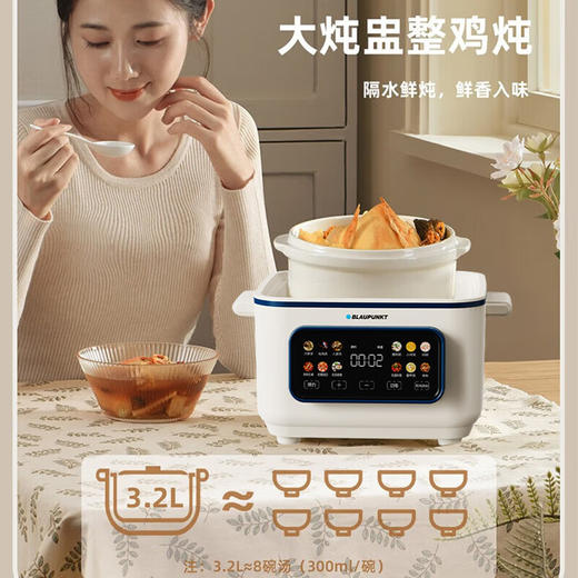 限时特惠--BLAUPUNK德国蓝宝多功能锅家用电锅蒸包子锅燕窝炖盅电蒸锅BP-ZDG15A 商品图0