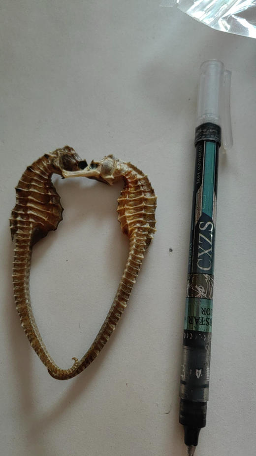 海马增高汤 具体看圈～ 商品图3