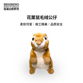 BehringWorld贝林商店毛绒花栗鼠儿童礼品可爱玩具生日礼物7英寸