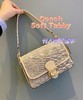 国内现货 COACH专柜款这个象牙白的Soft Tabby，经典又百搭，可以腋下背，也可以斜挎，炒鸡好看的样式，温温柔柔的感觉，尺寸26*16.5*9cm！ 美国代购，无中文标签，介意慎拍 lei 商品缩略图0