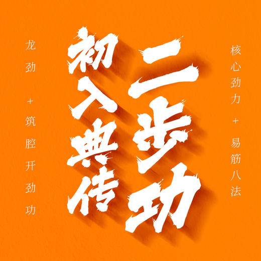 易筋换劲四步功之——【二步功】 商品图0