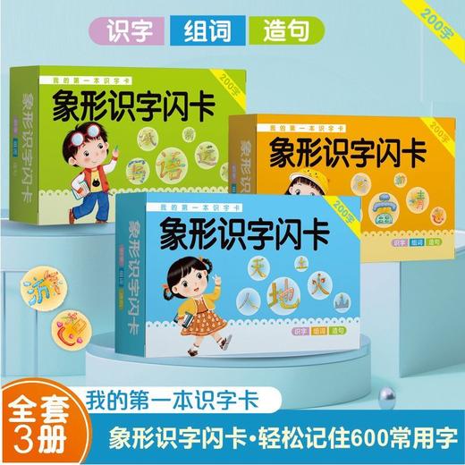 儿童识字闪卡幼小衔接卡牌幼儿启蒙早教3-5岁600识字卡 商品图0
