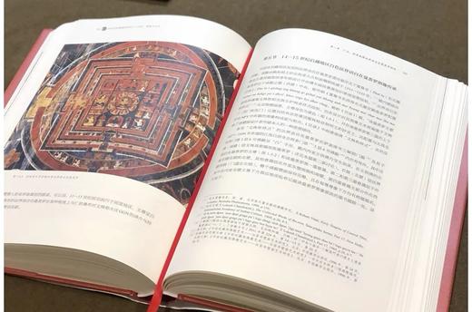 《托林寺红殿壁画研究——历史图像与文本》，精装，16开，王瑞雷著，浙江大学出版社2024年一版一印，448页，定价188，售价：138元。 商品图9