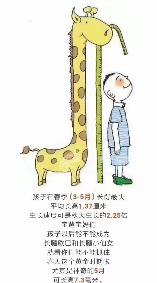 海马增高汤 具体看圈～ 商品图8