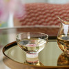 禾器花语·棠韵主人杯高端茶具玻璃品杯茶杯 清杯·达杯·朗杯·雅杯 商品缩略图12