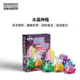 贝林自然世界水晶种植DIY动手玩具