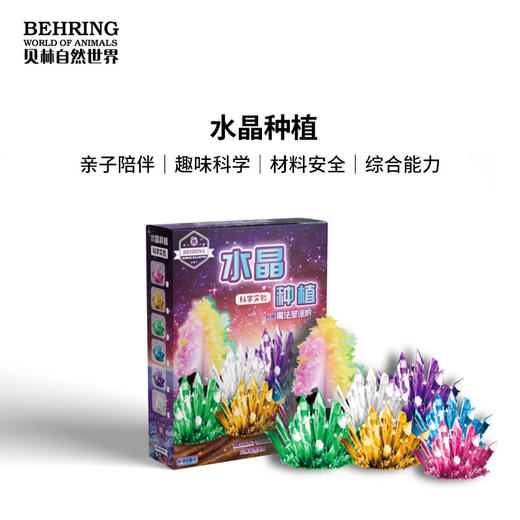 贝林自然世界水晶种植DIY动手玩具 商品图0